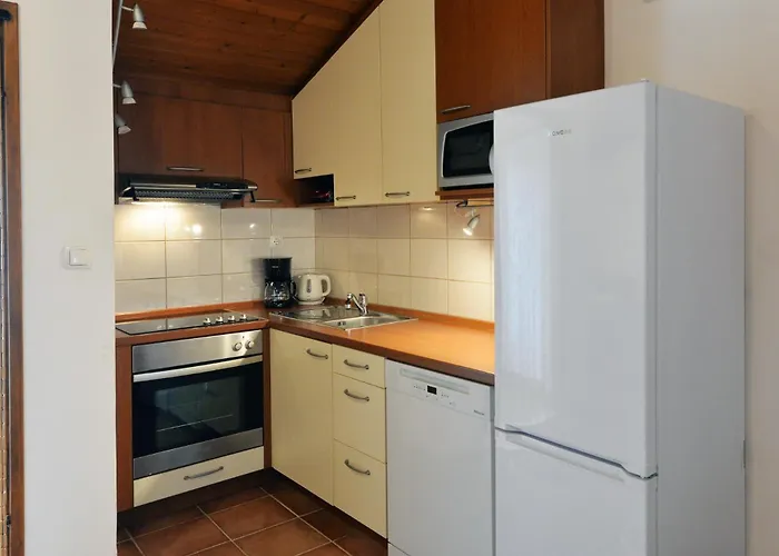 Staro Selo Apartment Murter